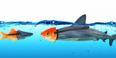 Müslümanların birbirlerine karşı “hud’a“ya başvurmaları haramdır