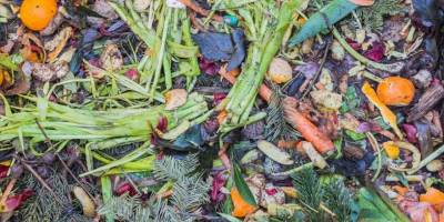 Türkiye ve dünyada gıda israfı sorunu alarm veriyor