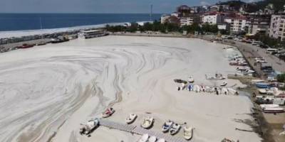 Marmara Denizi'ndeki 'deniz salyası' neden kaynaklanıyor?