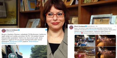 Mine Kırıkkanat’ın birahaneyi kapattırması ‘hayat tarzına müdahale’ olarak görülmeyecek!