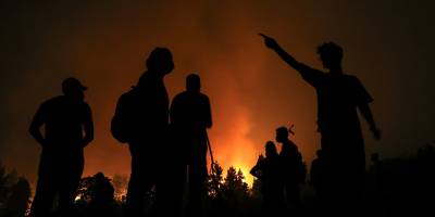 Cezayir'de 14 vilayette 31 ayrı noktada orman yangını çıktı