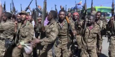 Etiyopya'da isyancıların büyük çoğunluğu cepheden çekildi
