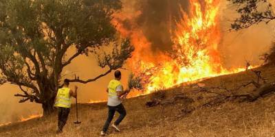 Cezayir'de orman yangınları: 71 ölü