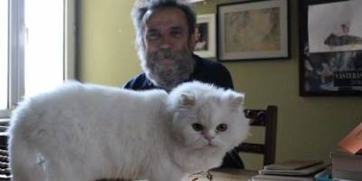 Sevgi kelebeği nasıl eşek arısına dönüştü?