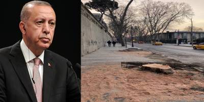 Gezi’de 12-13 ağaç nakledilirken dünyayı ayağa kaldırdılar ama 120 ağaca ses çıkarılmıyor!