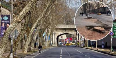 Tutarsız çevreciliğin ideolojik kökenleri!