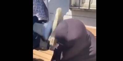 Yaşlı Suriyeli kadının yüzüne tekme atan aşağılık hangi cezayı alacak?