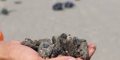 Rusya: ABD ile enerji piyasalarındaki istikrar konusunda çıkarlarımız örtüşüyor