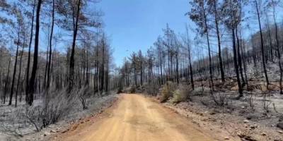 Marmaris kundakçısının babası: 