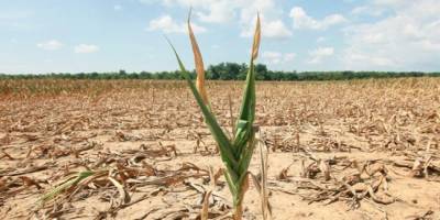 İtalya'da kuraklık krizi: 5 bölgede OHAL ilan edildi