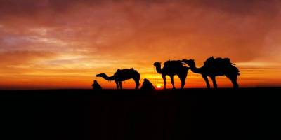 Yarım kalmış bir hicretin hikayesi