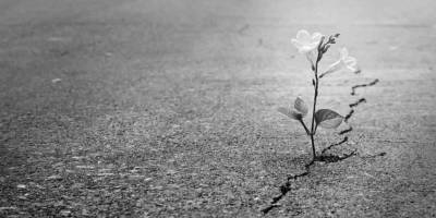 Yılgınlığı ve karamsarlığı değil, umudu büyütelim!