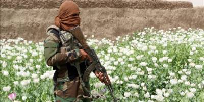 Taliban'dan haşhaş yerine sebze ekimine teşvik