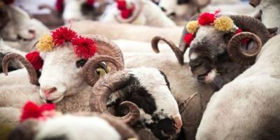 Ölmeden ölenler için Kurban Bayramı