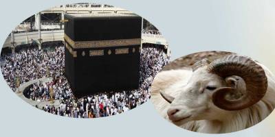 Adayışın diğer adı: Kurban