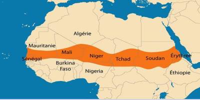 Arfika’nın Sahel bölgesinde kurulan yeni ittifak ne anlama geliyor?