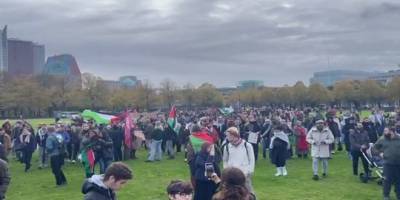 Hollanda’da Filistin'e destek gösterileri