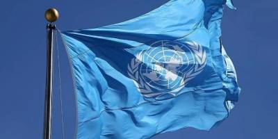 BM raportörlerinden, üye ülkelere "Gazze'de devam eden soykırımı durdurma" çağrısı
