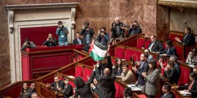 Mecliste Filistin bayrağı açtığı için men cezası alan vekil AİHM'ye başvurdu