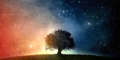 "Doğrusu, biz insanı en güzel bir biçimde yarattık"