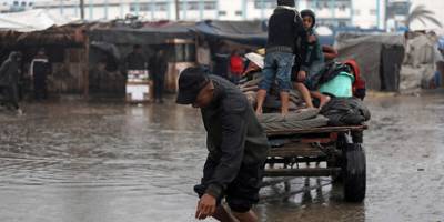 Hayatını kazanmak için at arabalarını çekmek