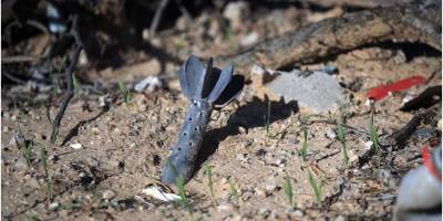 Gazze'deki çiftçiler geri döndüklerinde yanmış ağaçlar ve zehirli toprakla karşılaştı