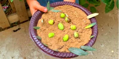 Gazze'nin çocukları daha iyi bir geleceğe inanıyor