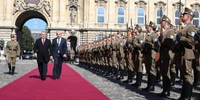 Bir bebek katilini kırmızı halılarla karşılamak!