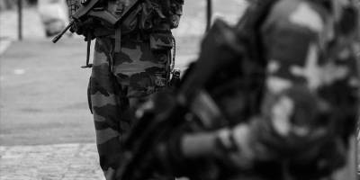 Prenses, kurbağa ve Avrupa ordusu masalı  