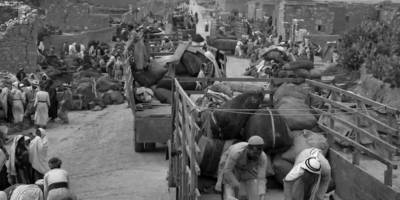 1948’den bugüne ırkçı tasfiyenin hikâyesi: Nekbe