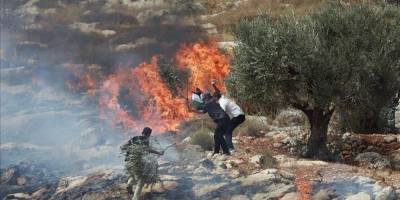 Fanatik yahudiler Filistinlilere ait tarım ürünlerini ateşe verdi