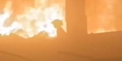 Siyonist korkaklar çocukları uykularında diri diri yakmaya devam ediyor