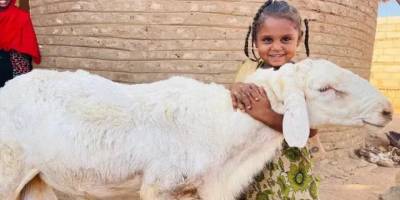 Kurban Bayramı'nın sessiz sürgünü