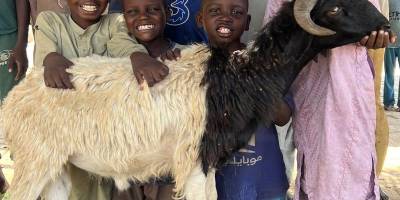 Kurbanın ibadetinin özü: Takva ve paylaşım