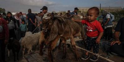 Gazze bağlamında Kurbana dair teolojik mülahazalar