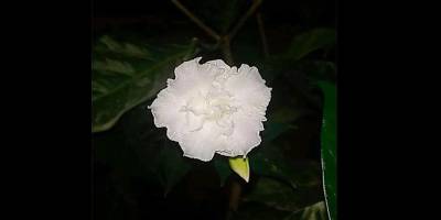 Oğluma bir mektup: Toprak senin içinde nefes alıyor