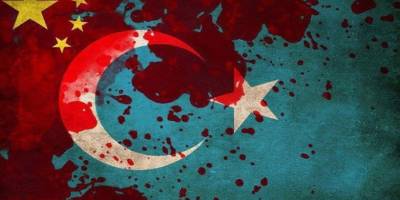 Tecavüz mağduru Doğu Türkistanlı kadın intihar için fetva istiyor