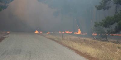 Çanakkale'de iki ayrı noktada orman yangını