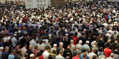 Cemaatler ve fırkalar