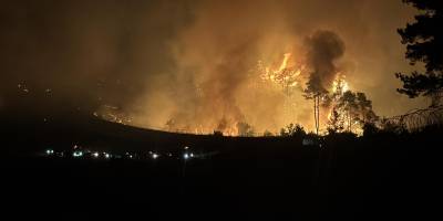 Suriye'de Lazkiye, Tartus ve Hama'daki orman yangınları sürüyor