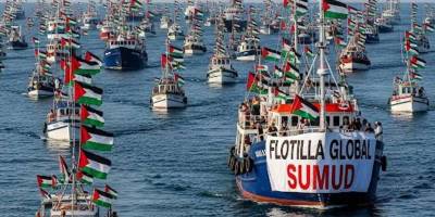 Ateşe su taşıyan karıncanın günümüzdeki adı: Sumud Filosu