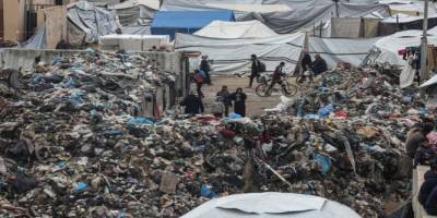 Gazze'de fareler hayatı yaşanmaz hale getiriyor