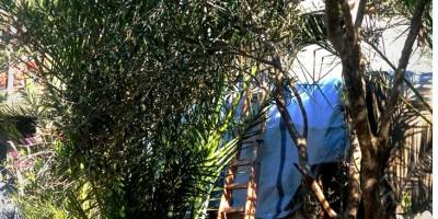 Gazze'deki Mowgli: Kurtlar tarafından değil, savaş tarafından büyütüldü