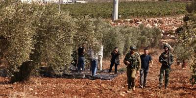 Yahudi işgalciler Batı Şeria’da Filistinli çiftçilere saldırdı