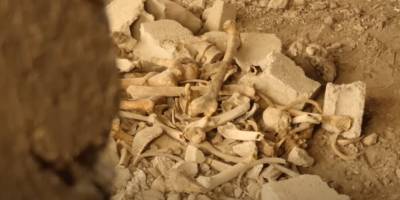 Esed rejiminin, toplu mezarları taşıdığı ortaya çıktı