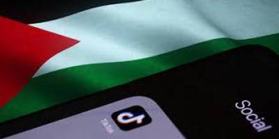 Dijital hasbara: TikTok