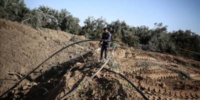 BM: İsrail saldırıları sonucu Gazze'de tarım altyapısının yüzde 89'u hasar gördü