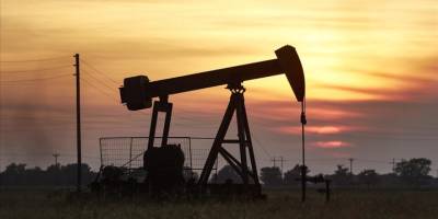 Trump yönetimi, Alaska'daki rezervde yaban hayatını koruyan sondaj sınırlamalarını kaldırdı