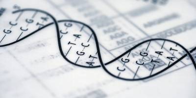 Bilgi, ‘kılıç' gibidir; ‘mücahid'in elinde de, ‘eşkıya'nın elinde de, düşman tarafı etkisiz hale getirmede iş görür!