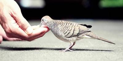 Modern çağın unuttuğu değer: Merhamet